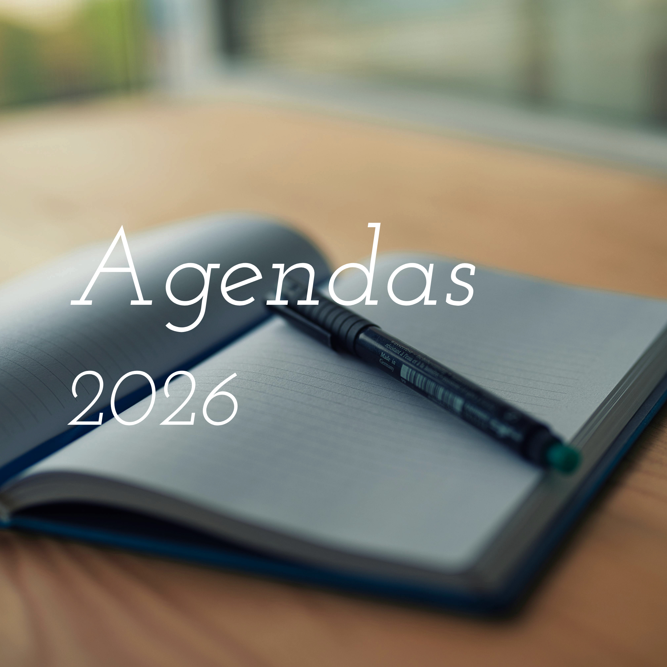 Conjunto de agendas que muestran parte de la colección de Agendas 2026 | Plannia