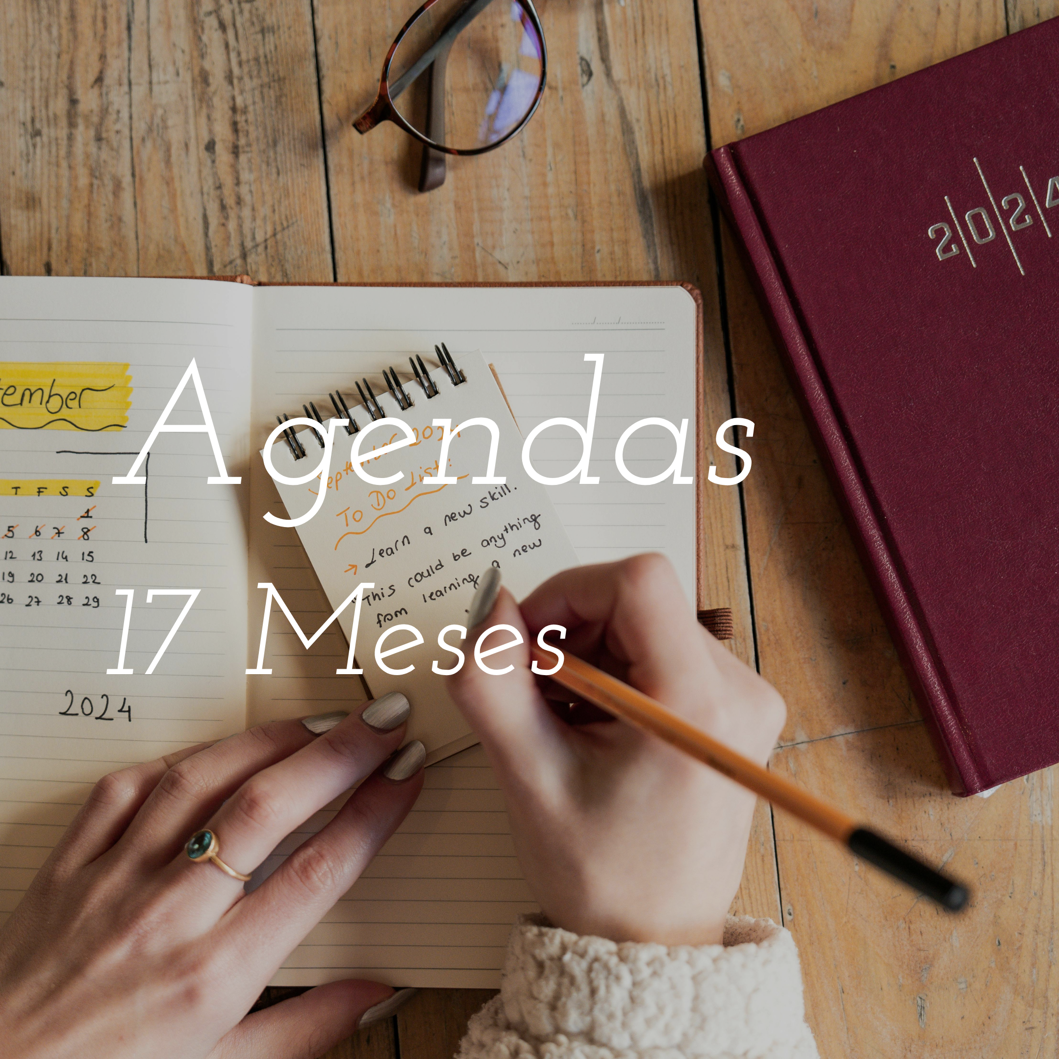Agenda de 17 meses