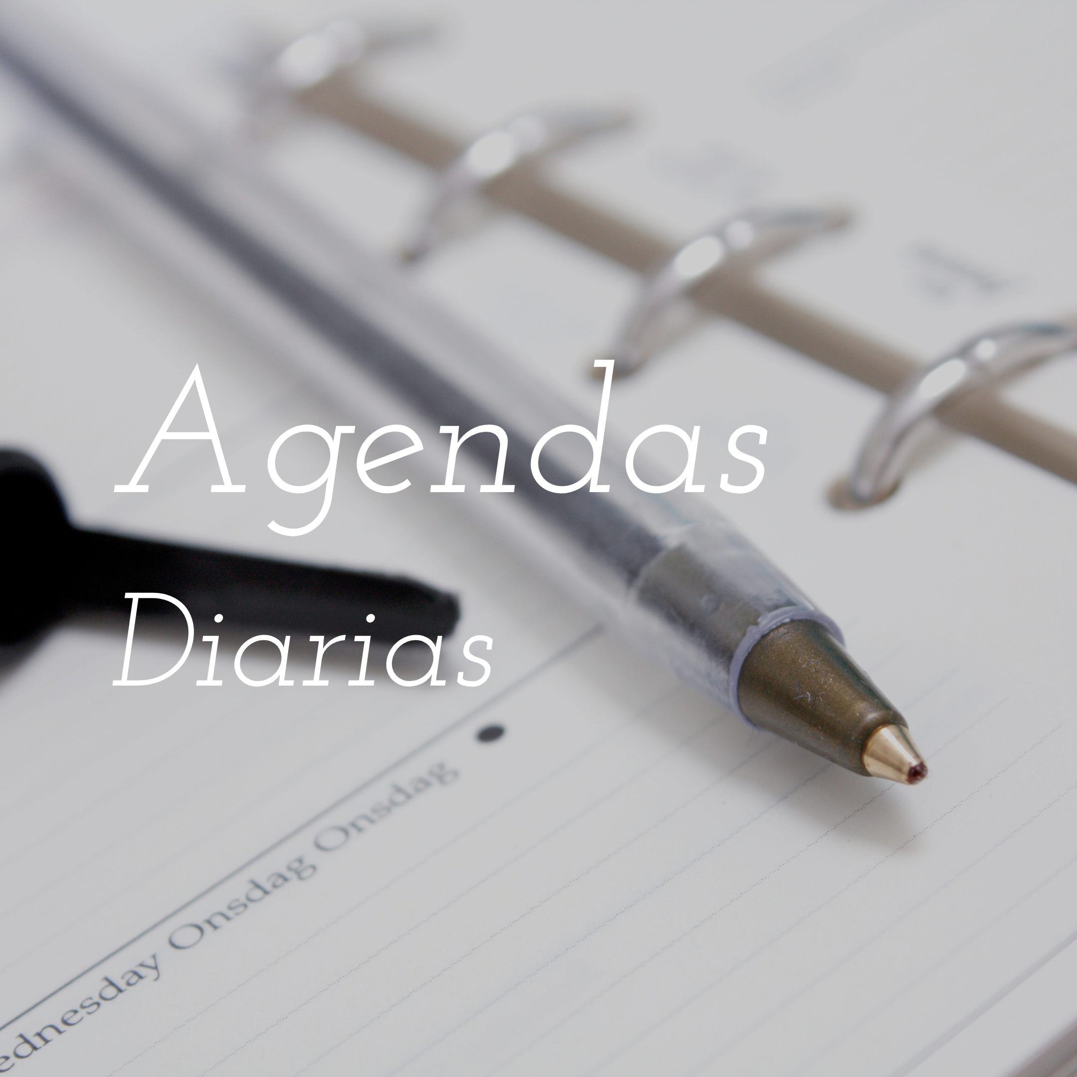 Agendas diarias