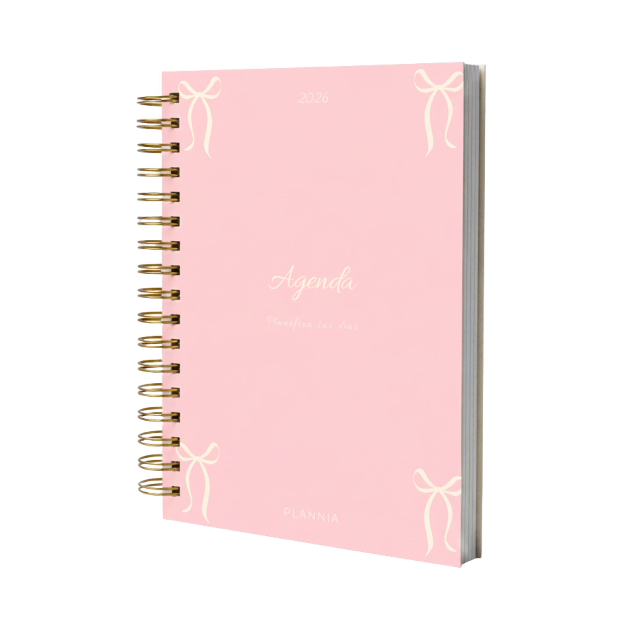 Agenda Plannia 2026 | Grace