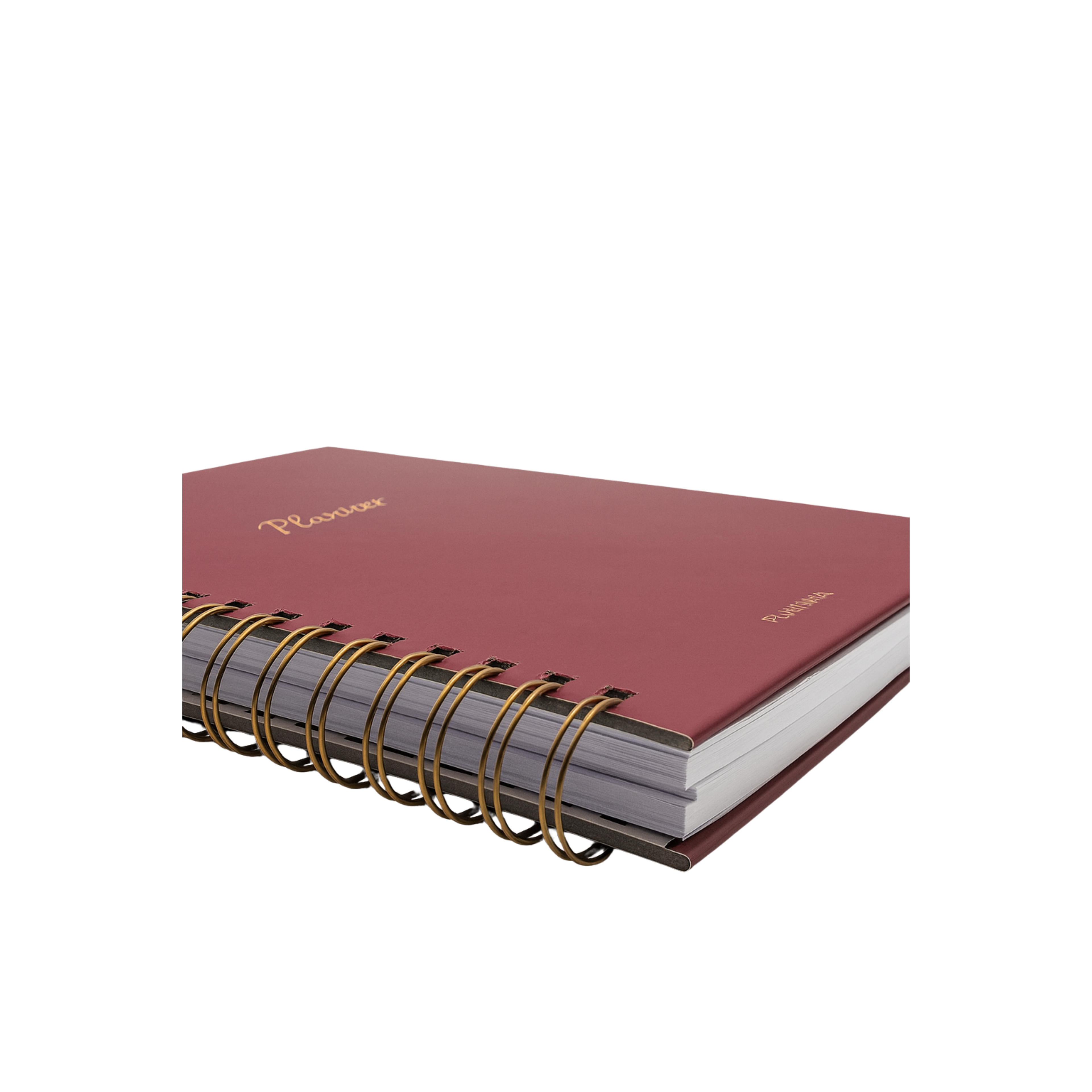 Agenda Plannia 2026 | Signature