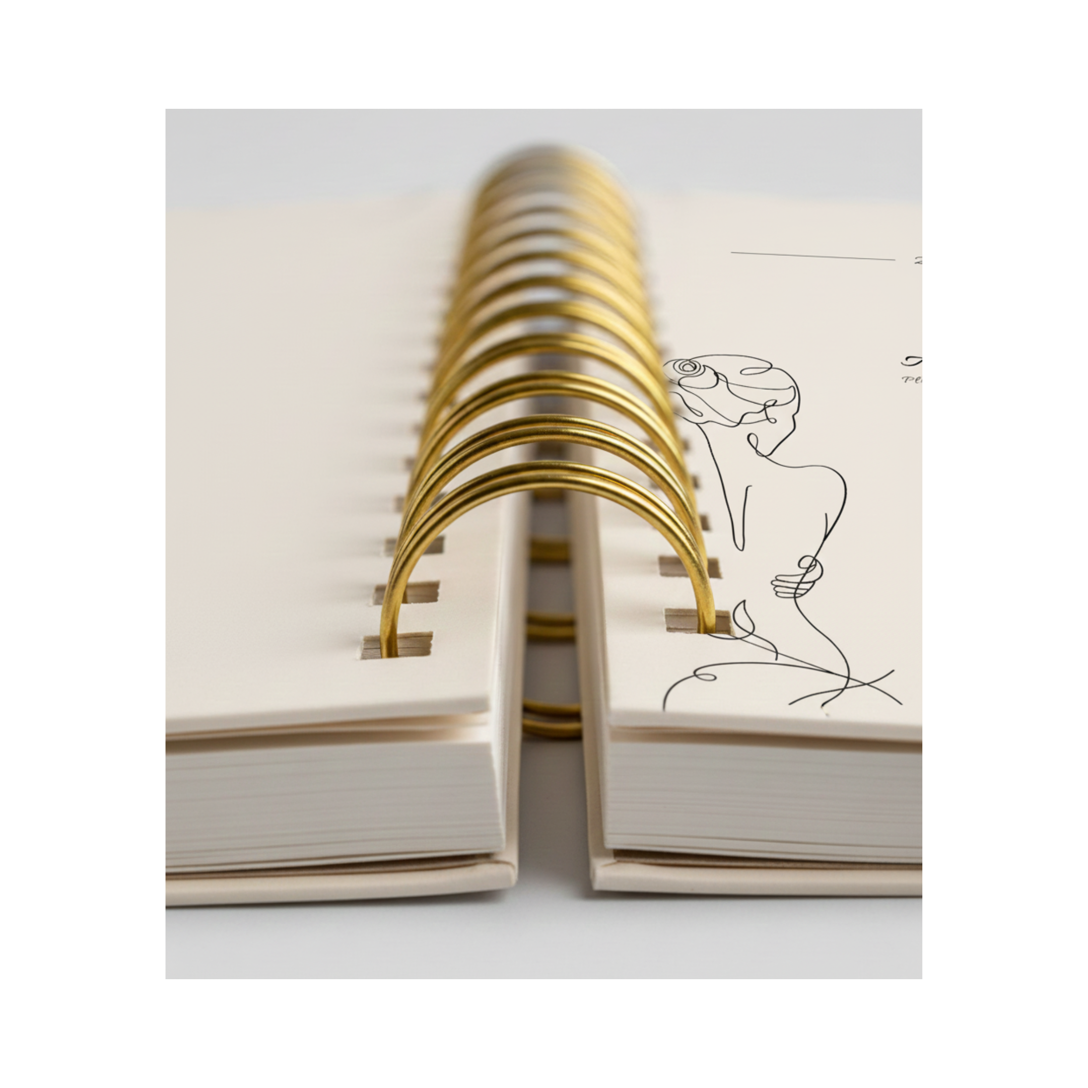 Agenda Plannia 2026 | Mindful