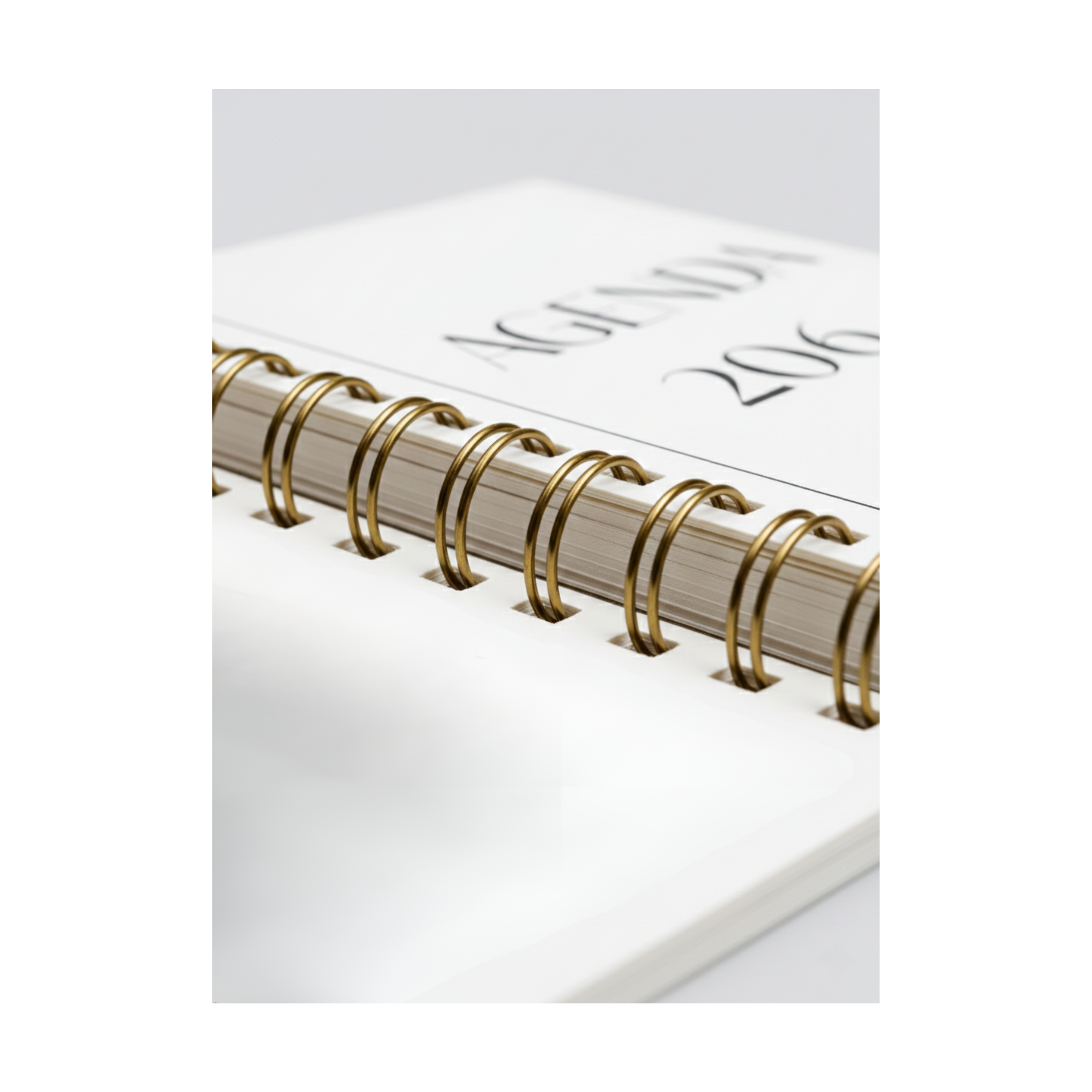 Agenda Plannia 2026 | Essential