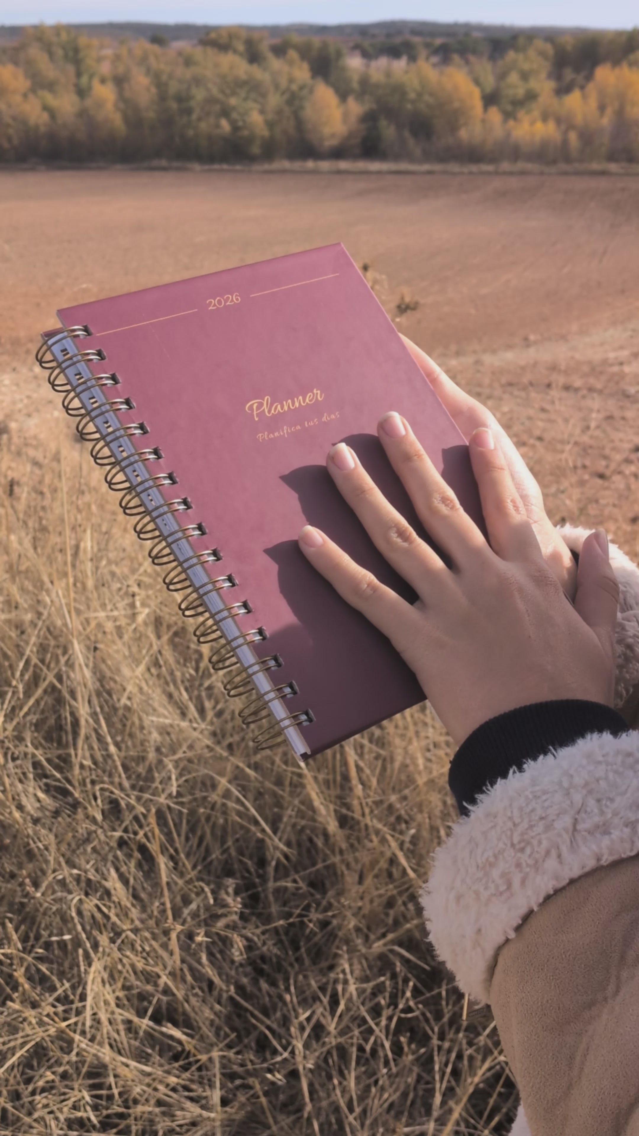 Agenda Plannia 2026 | Signature